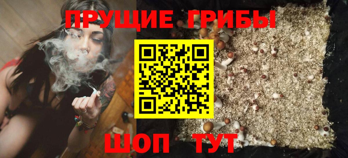 Выкса  Галлюциногенные грибы Cubensis  Вход с VPN 