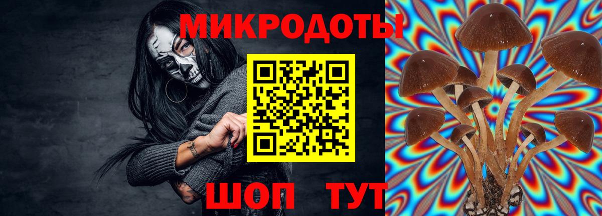 Псилоцибиновые грибы Psilocybe Выкса